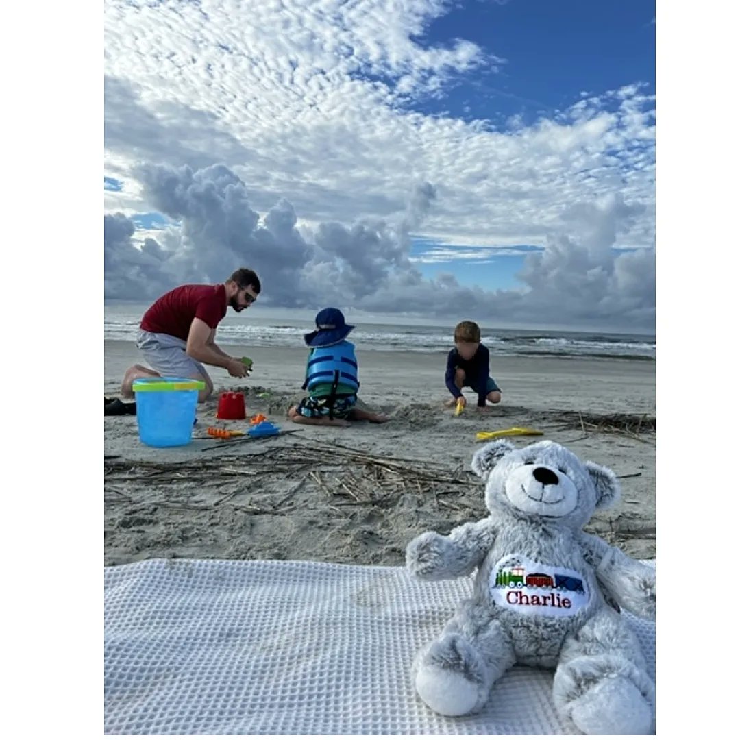 CharlesMCorvi's tweet photo. Charlie bears travels 💙 🐻 https://t.co/Uxg3gPOC9g