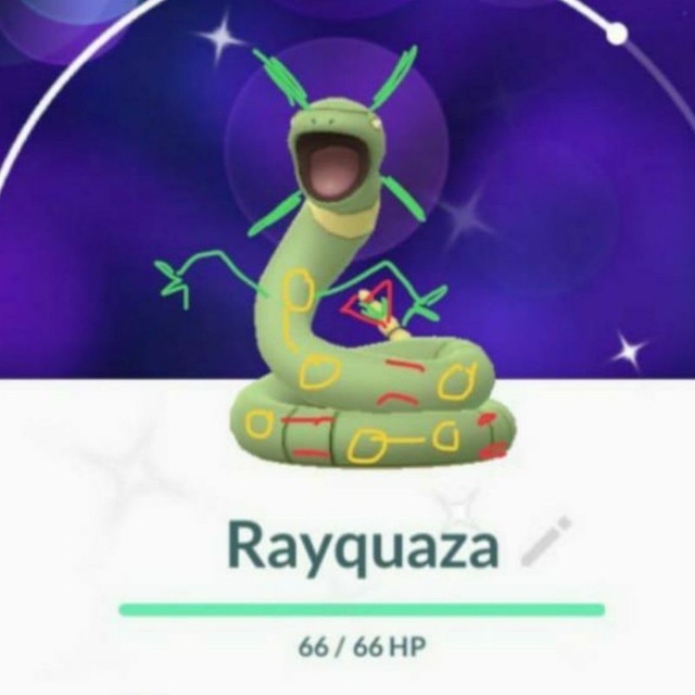 PokemonGoLyf's tweet photo. Just caught a Rayquaza ! #pokemongolyf #pokemongo https://t.co/GpmsINMg9S