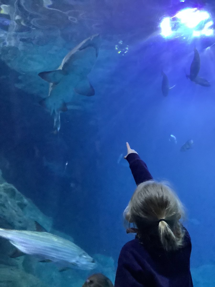 BhaYear2's tweet photo. Year 2 had an amazing time at @NMAPlymouth earlier this week. We were lucky enough to have a tour of the aquarium as well as taking part in some fun science experiments! @BHA_TQ @AETAcademies https://t.co/XNsQjKnjOu
