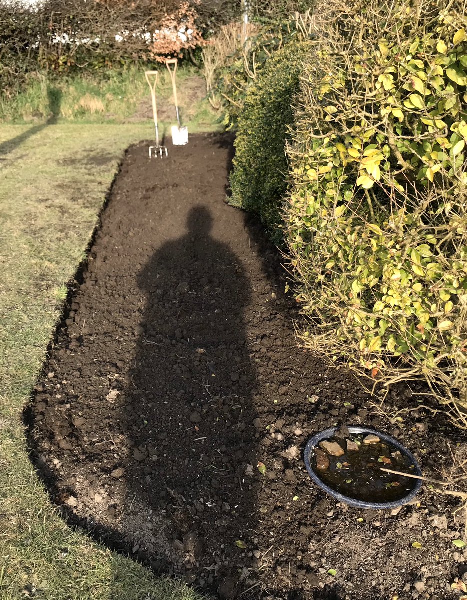 keithtesterliv1's tweet image. One of the flower borders finished here at The Devon Patch.
This is now ready for Andrea to plant up for when she has the seeds sown and plants ready. A fair bit of difference between then and now! #devonpatch #flowerborder #digging #soil