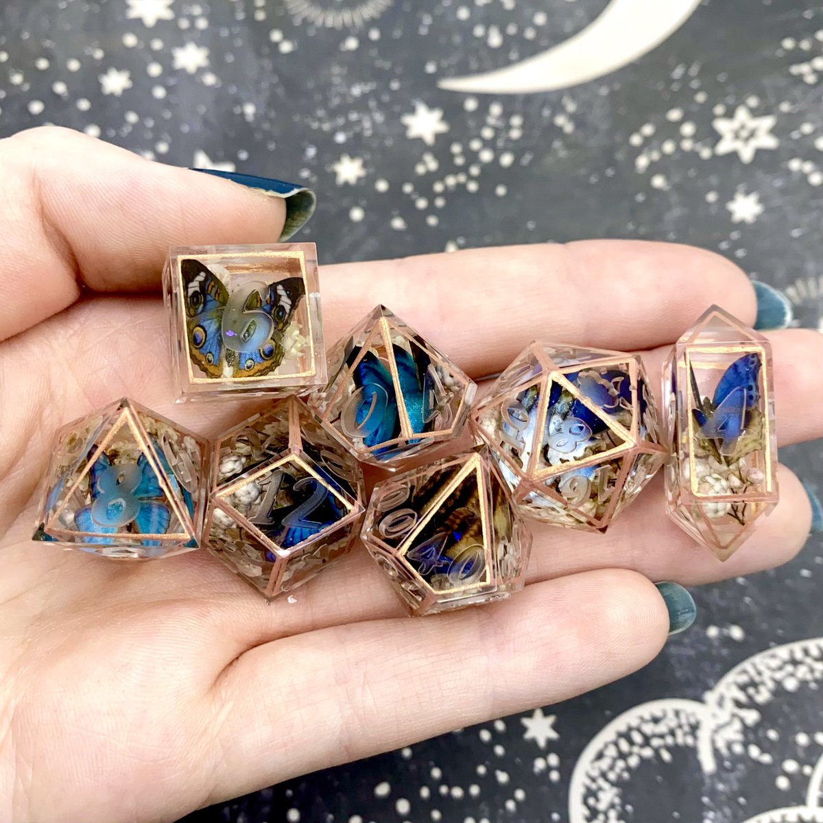 Dreamy_Dice's tweet photo. “The Blue Butterfly Terrarium” https://t.co/jJUUhxeTJM