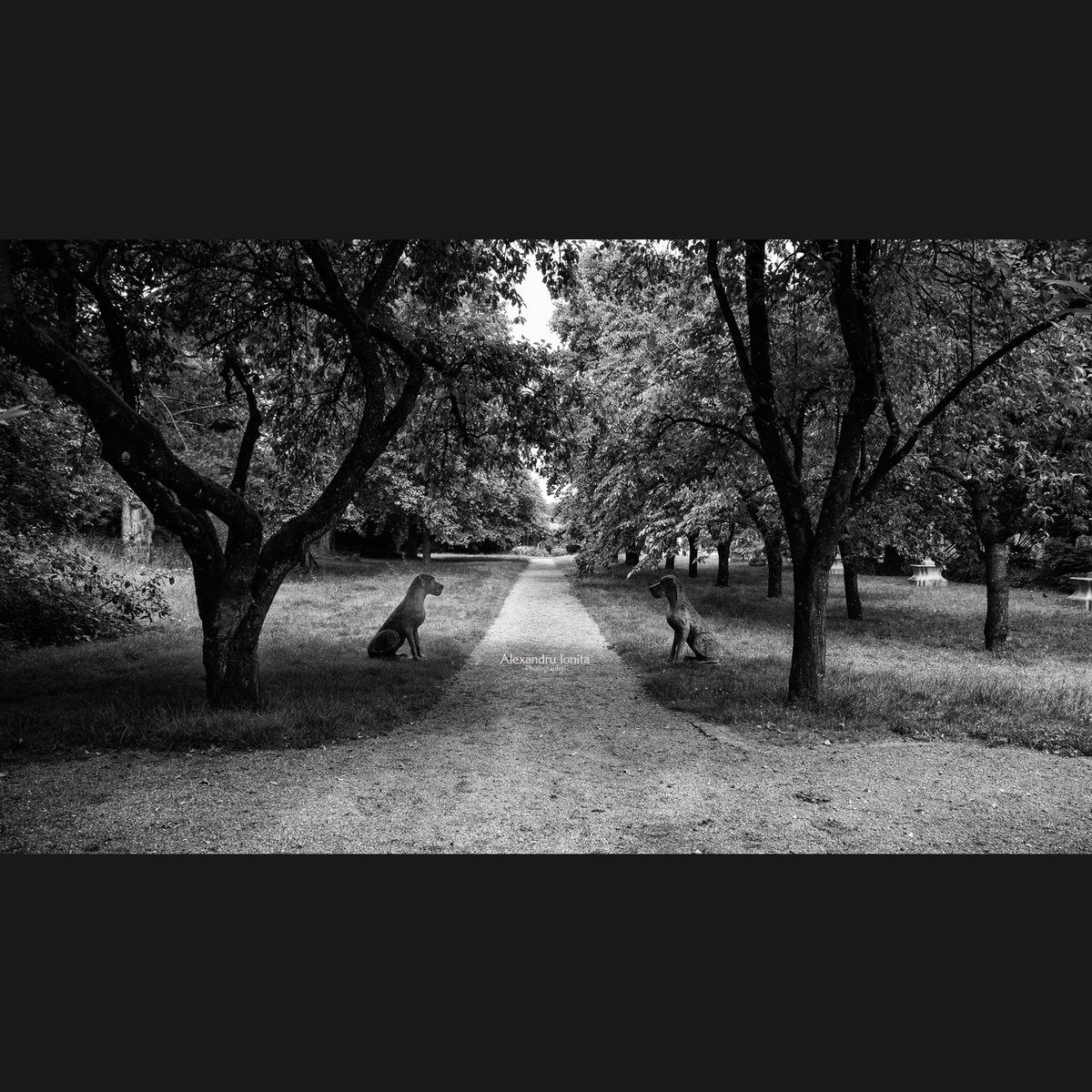 Alexandru Ionita On Twitter Today I Am In A Cinematic Mood What alexandru-ionita-on-twitter-today-i-am-in-a-cinematic-mood-what