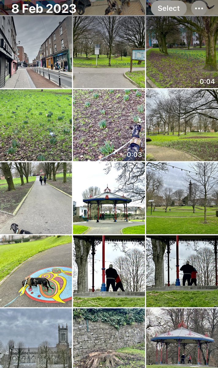 Limerick Ryan tweet media