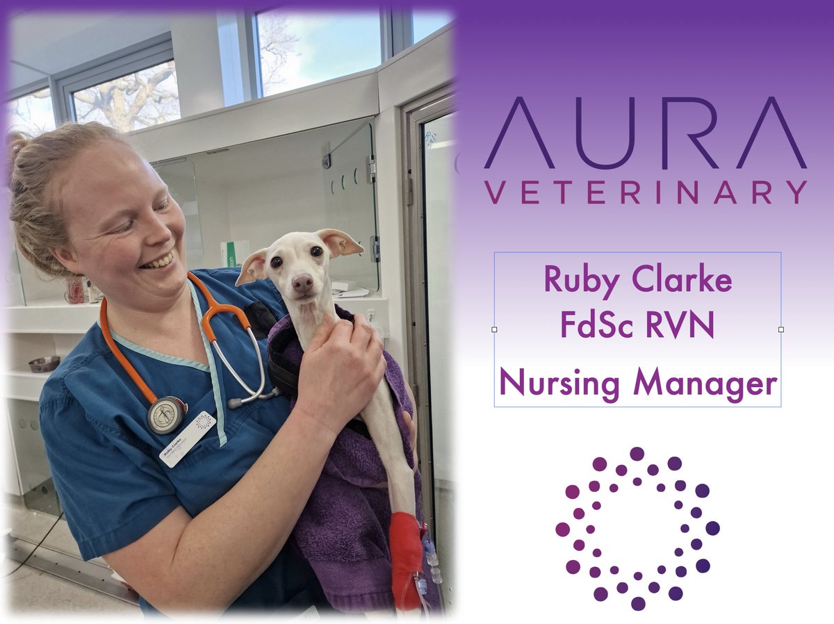 AURA Veterinary tweet media