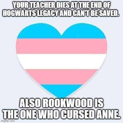 Important gun-related tweet.