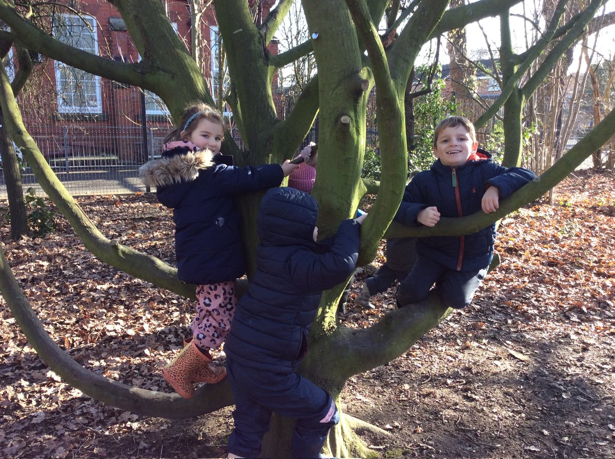 Taking risks with someone by our side helps us to feel safe. #ChildrensMentalHealthWeek  #riskyplay #eyfs #forestschool #trees #protectivebehaviours