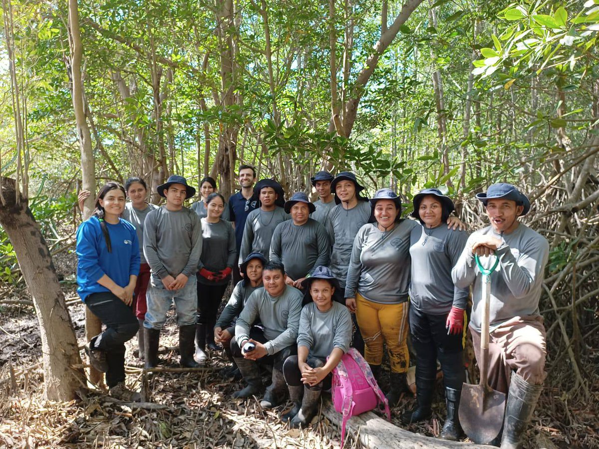 TheHALOTrust's tweet photo. We have been working hard in El Salvador on a mangrove project – clearing mud and other material to improve water access to chinampas (narrow floating fields). Work continues to ensure local people can earn a livelihood from the land and water. https://t.co/QjSfTc1Ibe