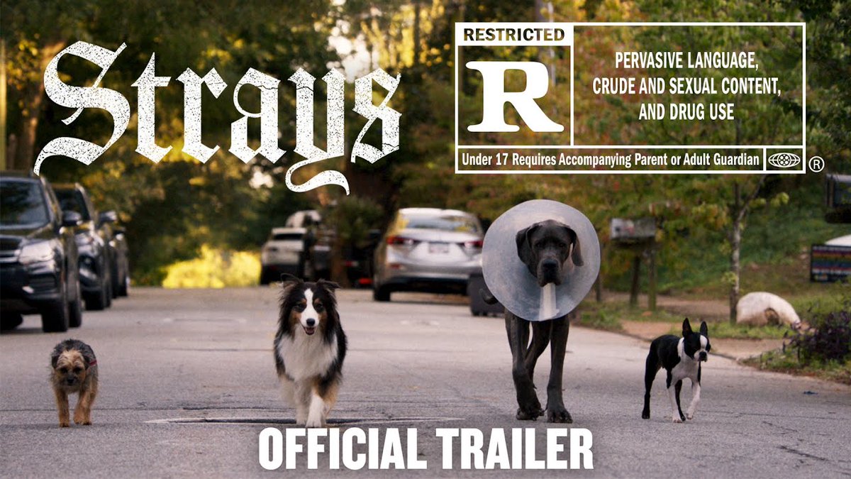The Playlist on Twitter "RT ThePlaylistNews ‘Strays’ NSFW Trailer Will Ferrell, Jamie Foxx