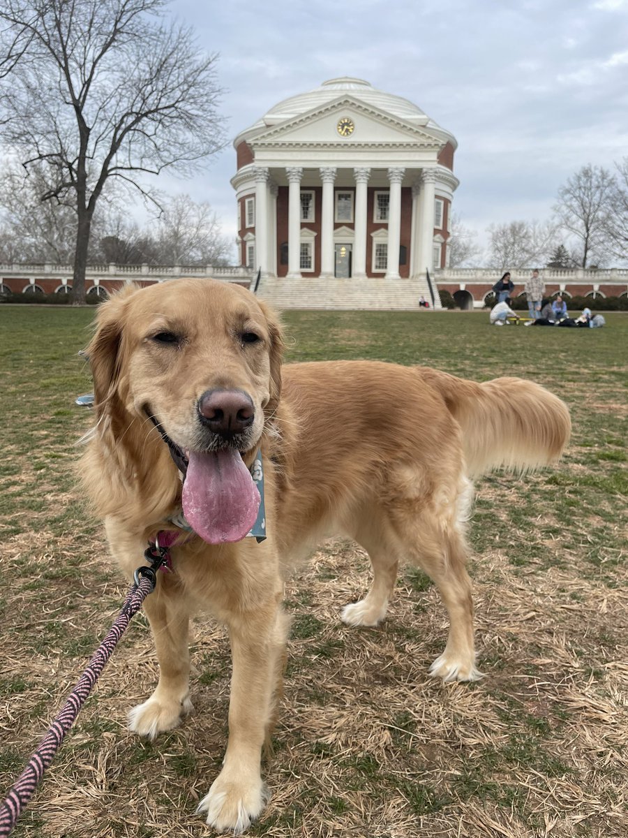 Had so much fun presenting and learning at the #PowerofCoaching conference over the last two days!