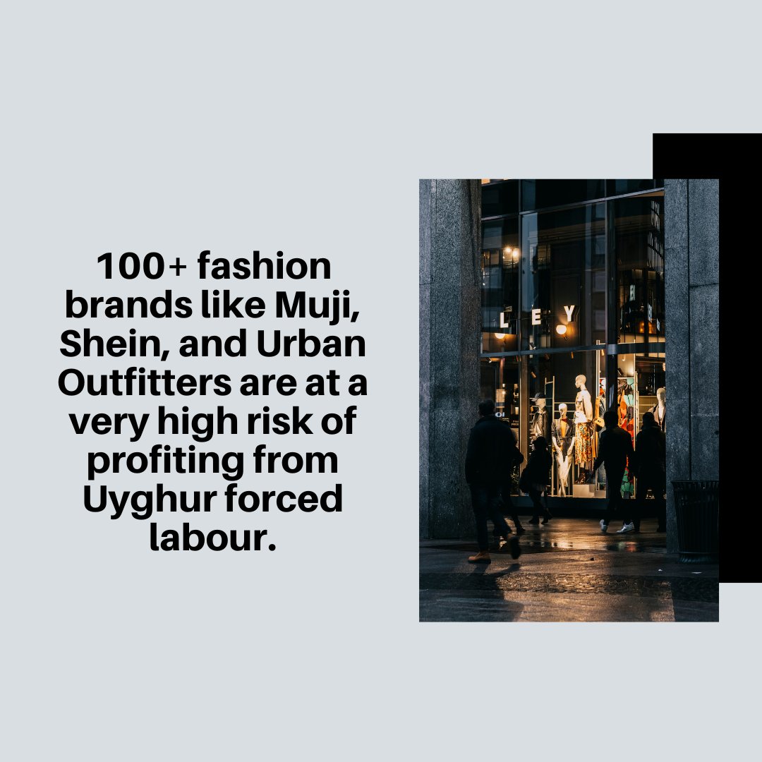 End Forced Labour Fashion tweet media