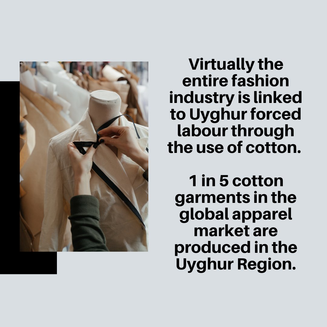 End Forced Labour Fashion tweet media