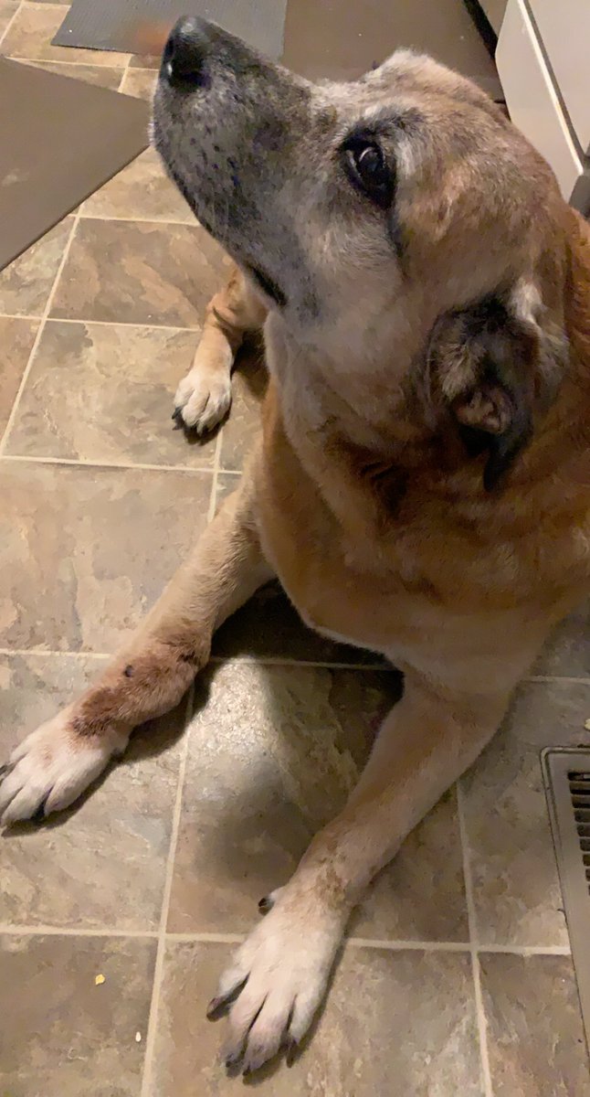 kirst 🌻 tweet media