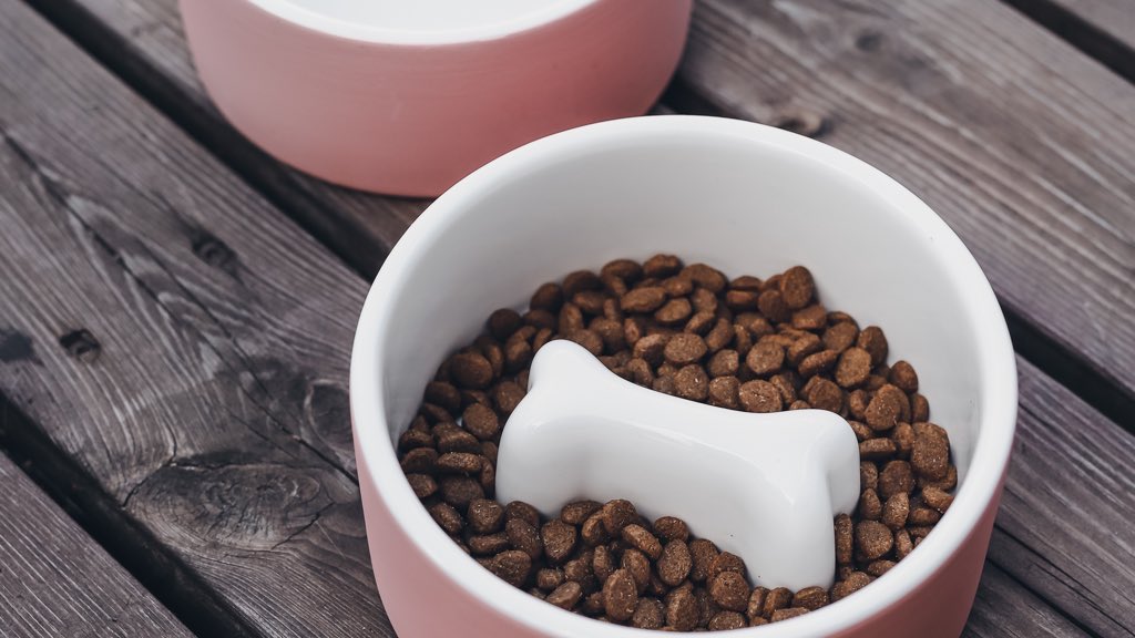 How cute are these naturally cooling dog bowls? 💕

Shop now for the perfect Valentine’s gift for your dog. 

#dogbowls #luxurydog #fancydog #dogbowl