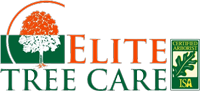 EliteTreeCare's tweet photo. https://t.co/4wLo9kKlX2
https://t.co/OJkXO51l0V https://t.co/aMgMrnHLFL