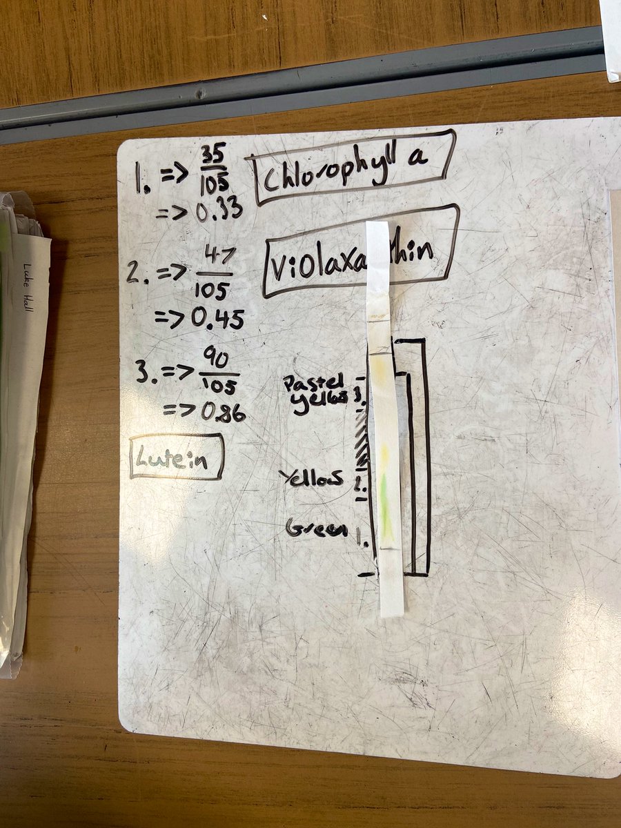 Miss Macdonald tweet media