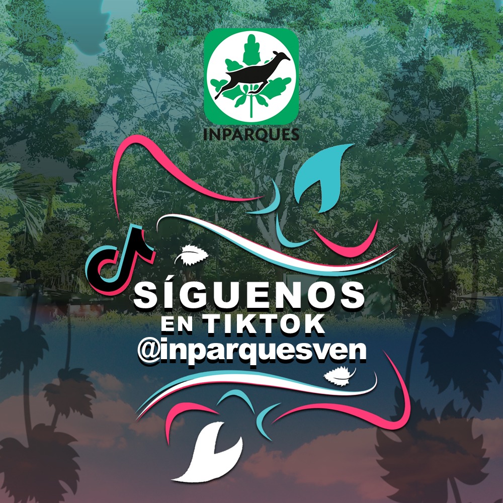 🧩#12deFebre||💚¡Amigo! Visítanos a través de nuestra Red Social Tik-Tok y conoce más de nuestras áreas naturales protegidas de Venezuela📌🏞️ 

🎯¡Ven y Disfruta de Nuestros Contenidos!🧩 Ingresando al Siguiente Link -->
bit.ly/3x4ljqa

<a href="/JosueLorcaV/">Josué Lorca Vega</a>