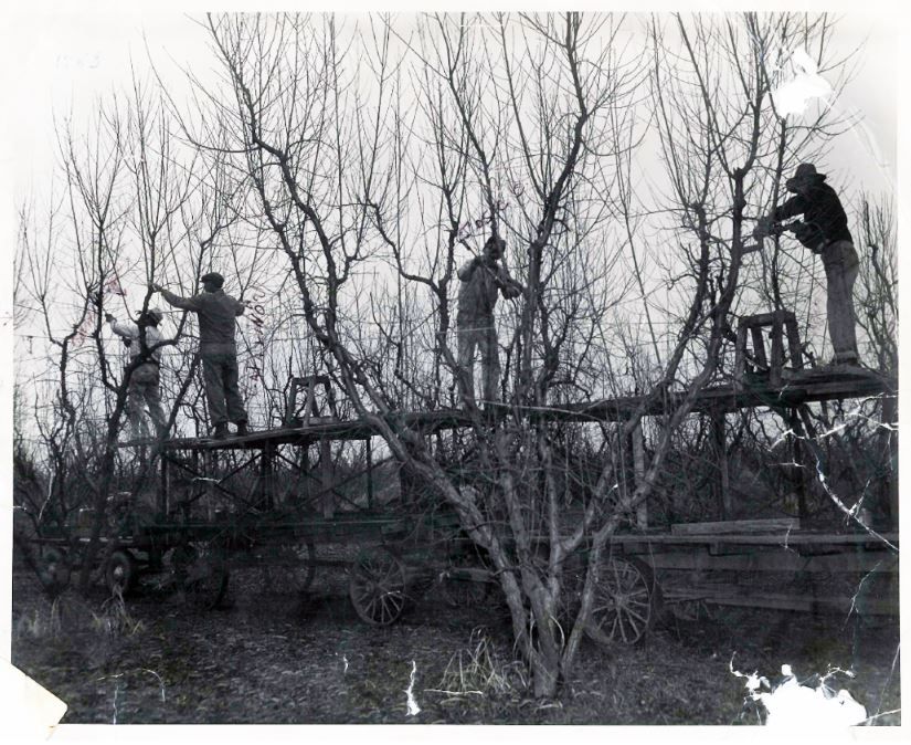 #60YearsAndStillGrowing