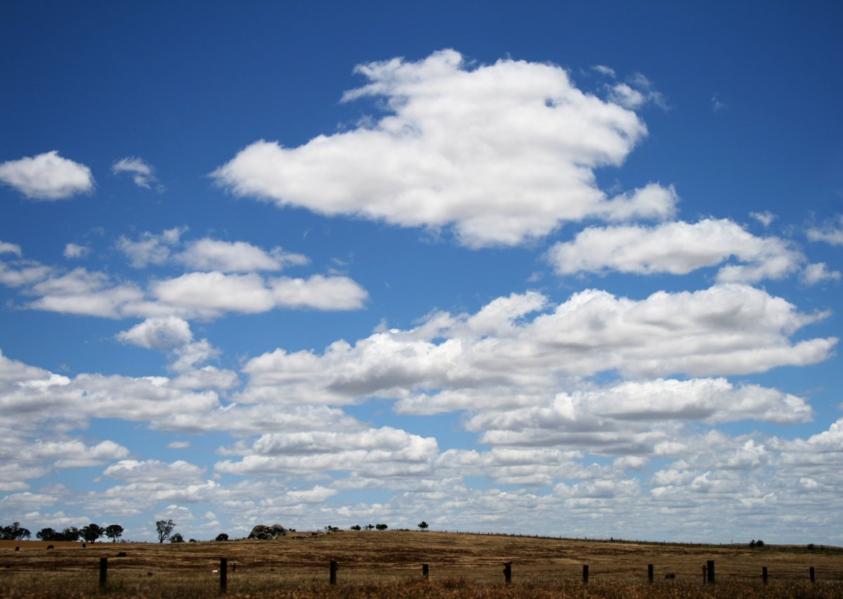 CloudCup2's tweet photo. Lenticular (left), Cumulus Humilis (Right) https://t.co/ApmzH0lxuE