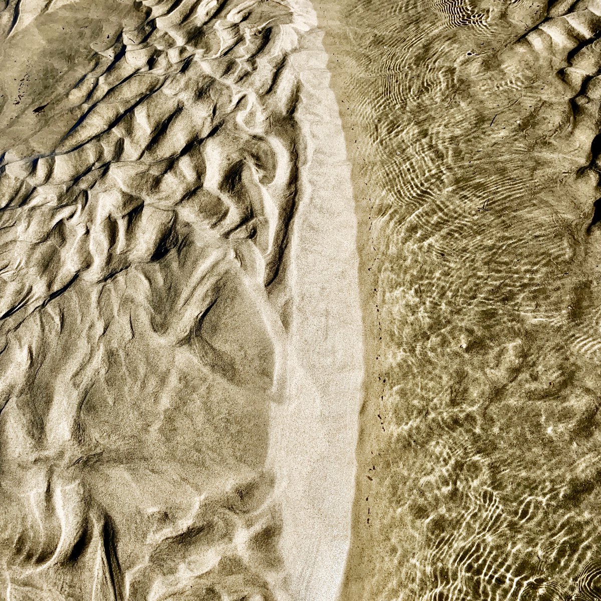 LEMARCHANDMart2's tweet image. "What we know is a drop of water. 
What we don't know is an ocean".
Isaac NEWTON
#lowtide #sandpatterns #sand #artofnature #natureabstract #fineartphotography #sandripples #patternsinthesand #womenphotographers #fineartphotography #newtonsfwtwt