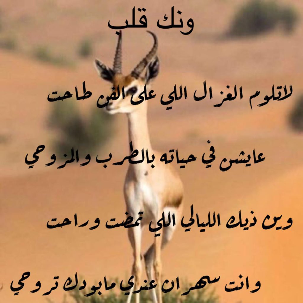 saad_Alhowemil's tweet photo. https://t.co/e9EoGVela8
