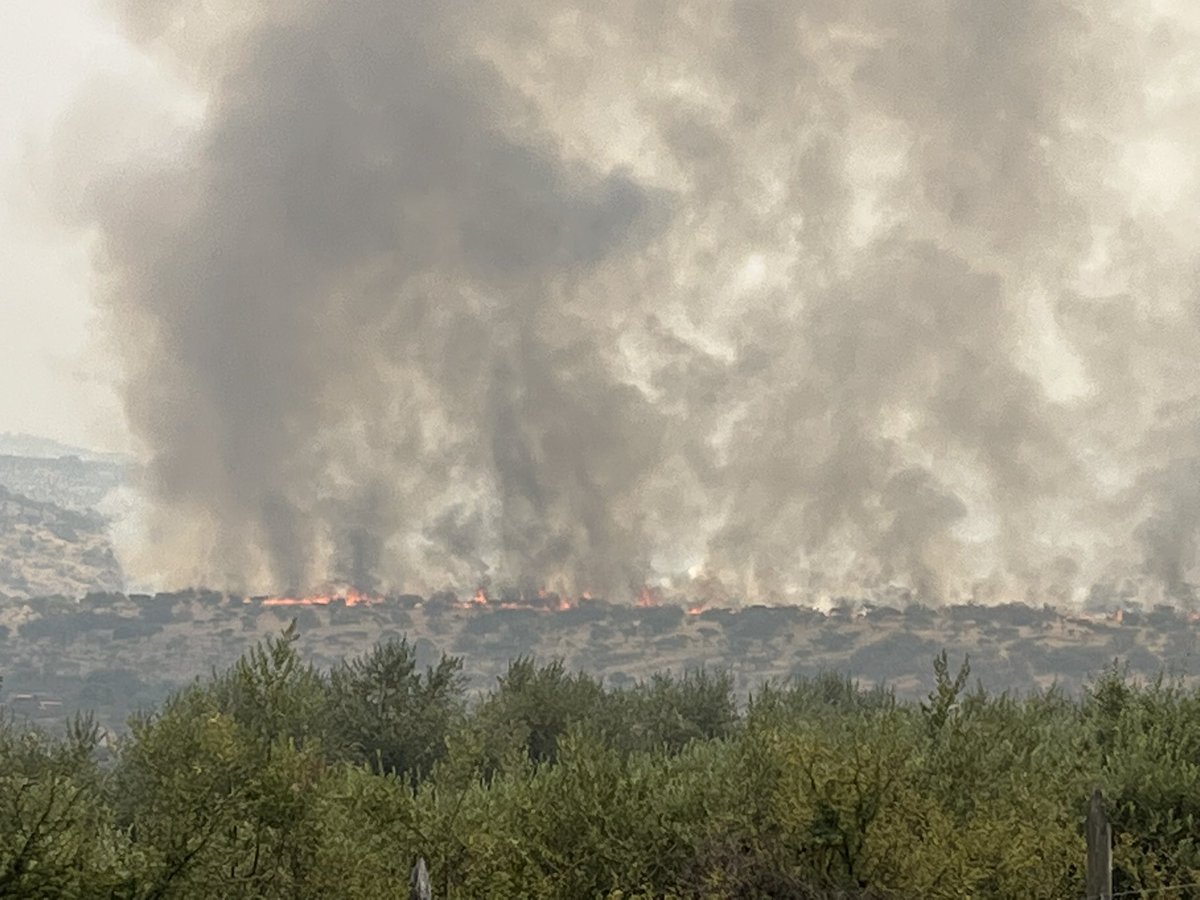 RADIOPALOMAFM's tweet photo. Incendio forestal descontrolado en sector del cerro La Virgen, costado poniente. 
En desarrollo… https://t.co/R1l2fnpOkF