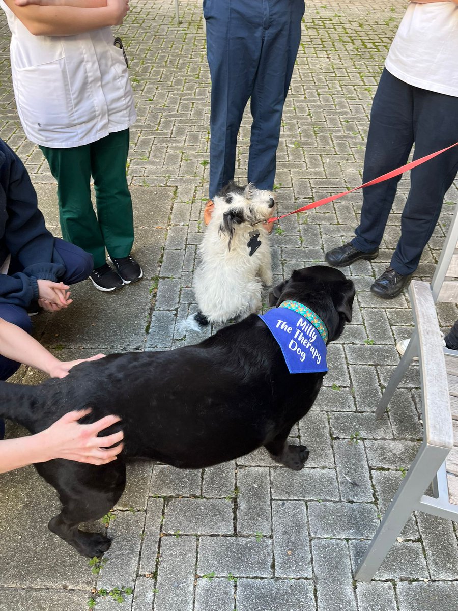Rosie Dogg tweet media