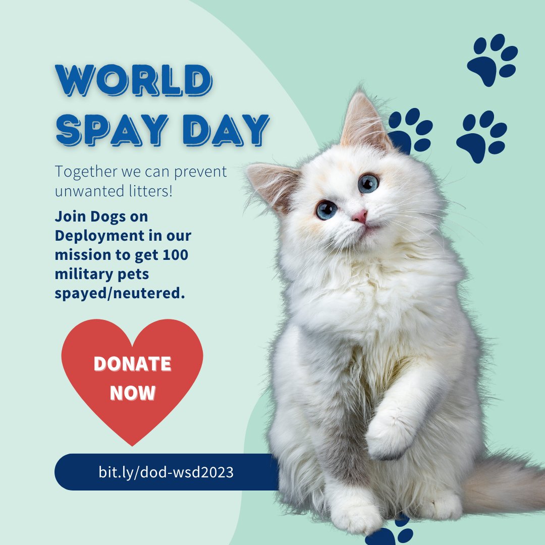 Did you know that a female cat can have up to 3 litters a year? That can lead to a lot of unwanted kittens! Join us in our goal for World Spay Day at bit.ly/dod-wsd2023

#dogsondeployment #worldspayday #petownership #pets #dogs #cats #veterinaryhealth