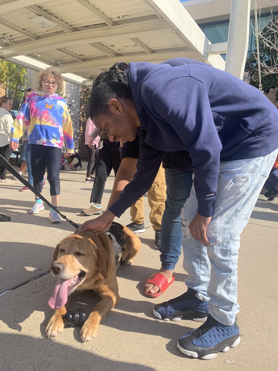 D_JensenGHHS's tweet photo. Special visit from Officer Matt and Nitro today!! Thanks for spending time with us today @TOC_Safety https://t.co/u3tqcFEA6l