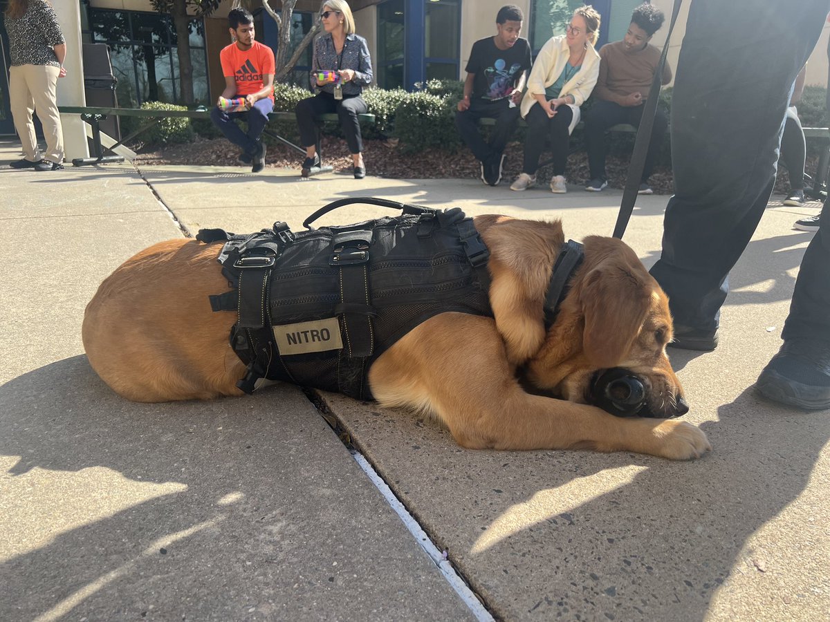 D_JensenGHHS's tweet photo. Special visit from Officer Matt and Nitro today!! Thanks for spending time with us today @TOC_Safety https://t.co/u3tqcFEA6l