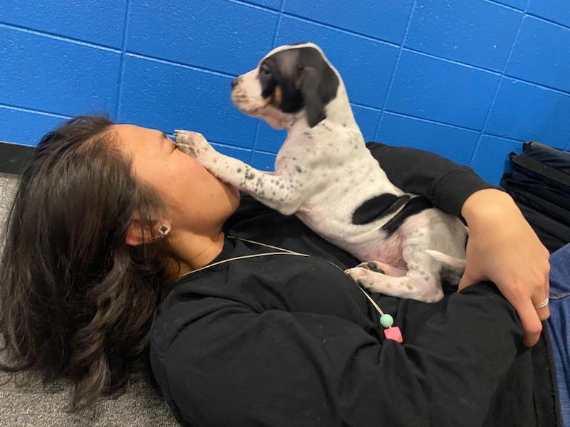 MissWSpedSquad's tweet photo. Thank you to the @GombertGators SEL team for connecting us with Rover Rescue to play with puppies this morning! Best. Morning. Ever. I'm ready for a new little one 🥰🥰🥰 https://t.co/UKOG9n4jIj