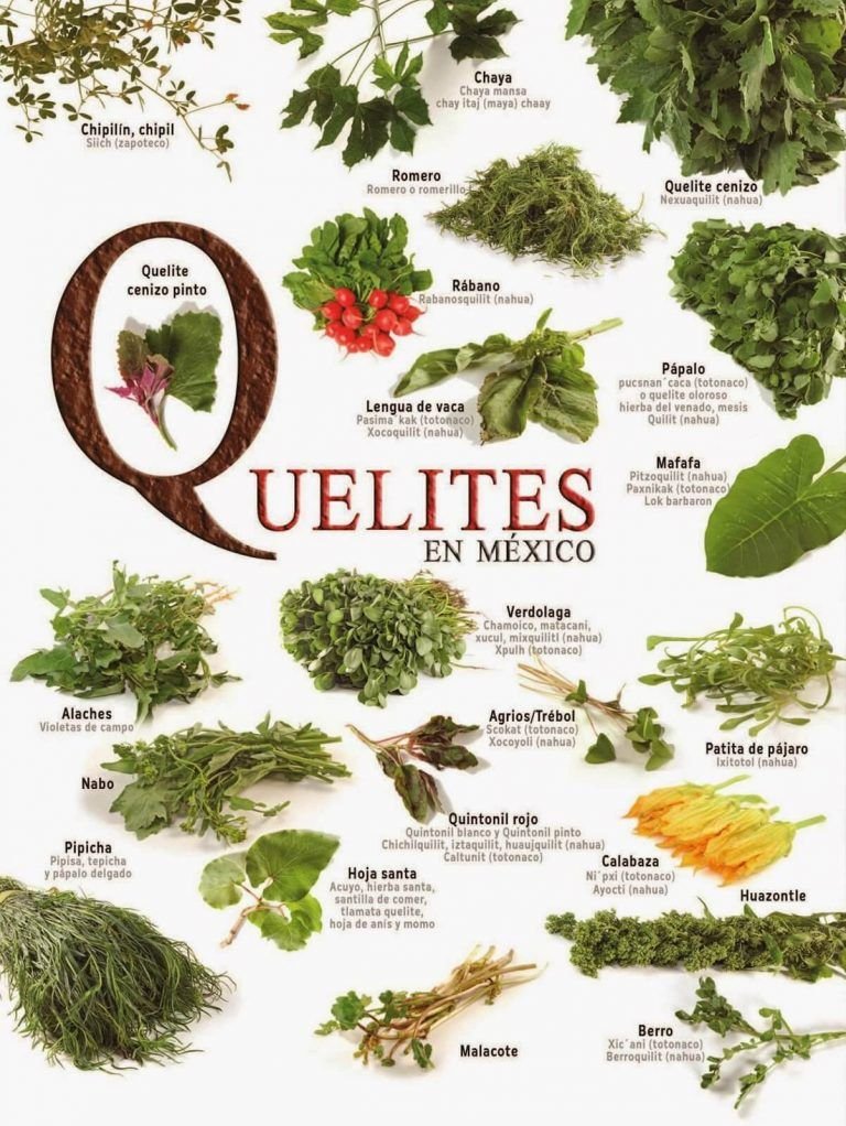 Cocina Express (@cocinafuentes) on Twitter photo 