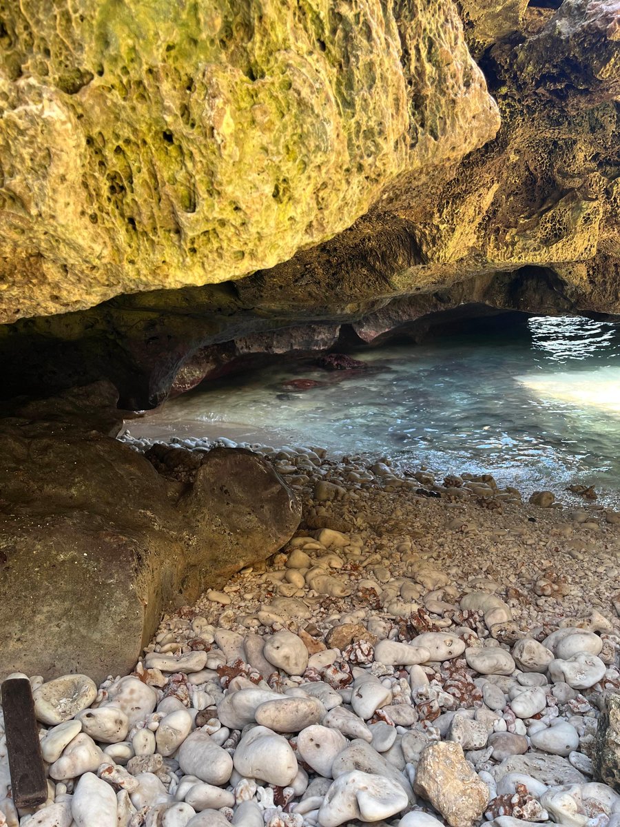 MahinaTreehouse's tweet photo. Mermaid Cave West side Oahu…dreamy! #mahinatreehouse #surfing #vacationrental #traveling #oahu #treehouse https://t.co/YhAO4qy3wD