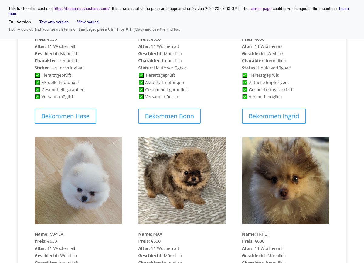 aa419's tweet photo. Another scam targeting ZA in project #DogDaddy.
/starpuppieskennel.co.za registered 2023-01-31
Spot the error.
Don't we love Google cache? 27 Jan 2023
@Godaddy #1Api @CentralNic @dotZADNA
#Fraud #MoneyLaundering #IDTheft https://t.co/NqQveNrqEs
