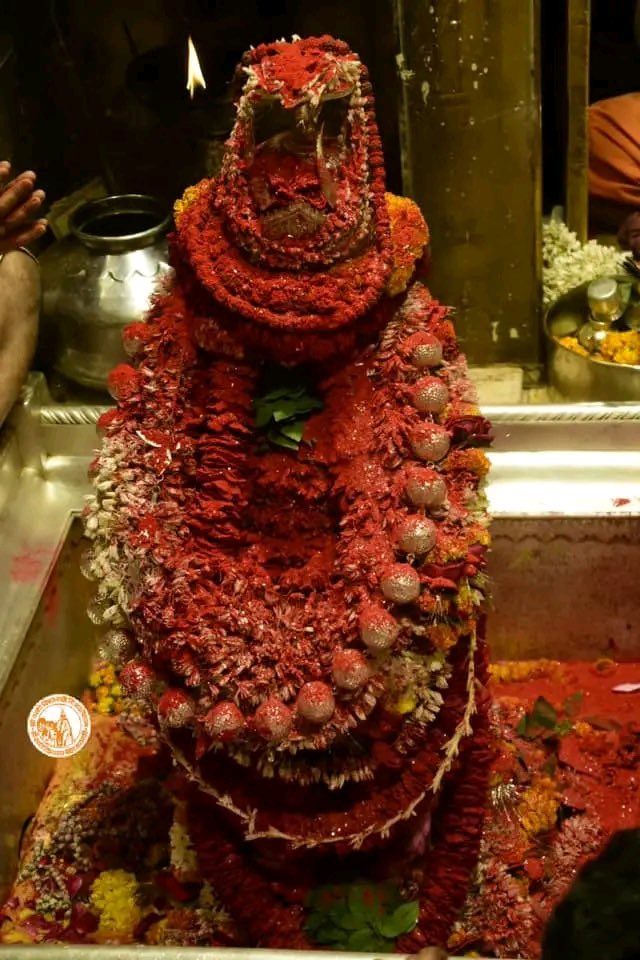 VKS_AJP's tweet photo. श्री काशी विश्वनाथ ज्योतिर्लिंग के संध्या के सप्त���्षि आरती दर्शन 08.02.2023 https://t.co/UjABrrGbed