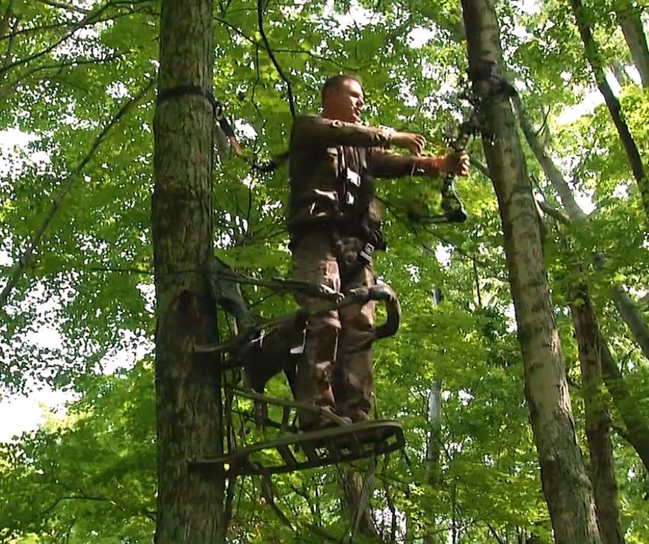 augeneallen's tweet photo. "How To Use A Self Climbing Tree Stand: Definite Guide- [2023]"

Climb into the seat and pull up on the straps until the stand is secure against the tree.

Read Here More Details: https://t.co/hzphhGFppe
#Hunting #huntington #huntingseason #알티추첨 #SOTU https://t.co/iDi9r1Lz6z