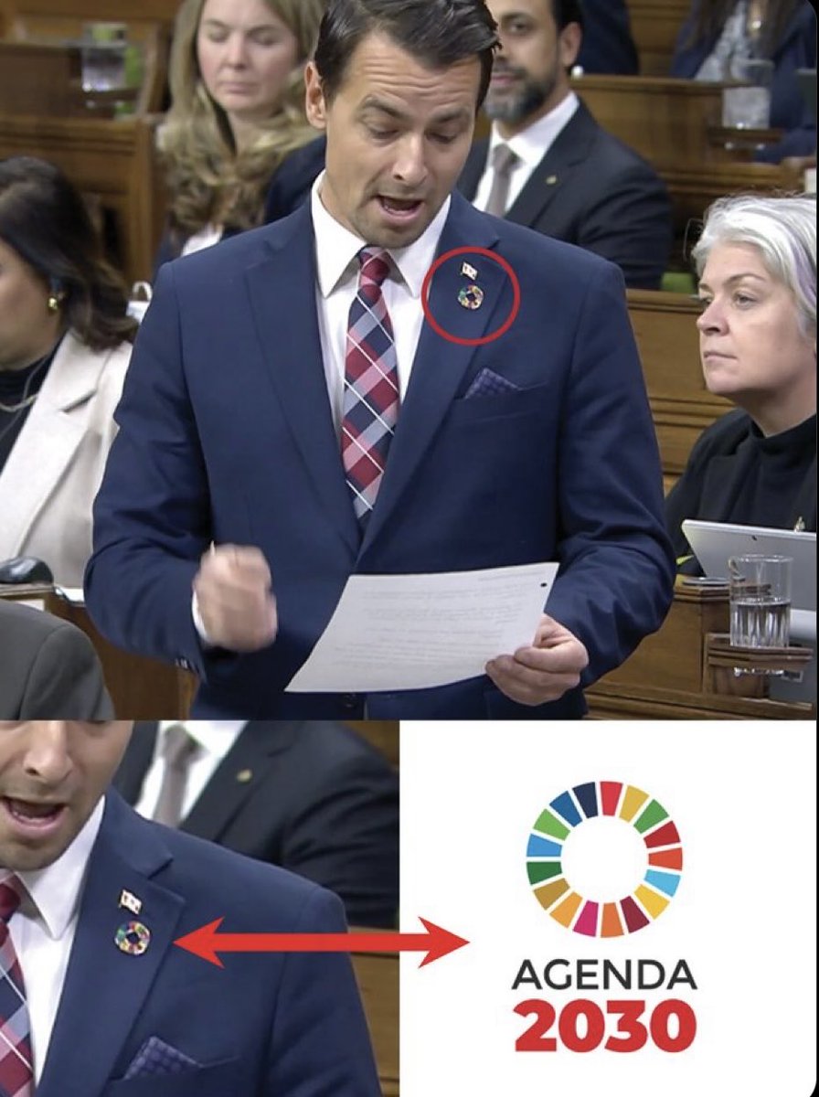 liz_churchill10's tweet photo. This is the new Swastika…call them OUT…when you see it. This is Global Nazism and they’re not hiding it… https://t.co/6KFqCpzVPC