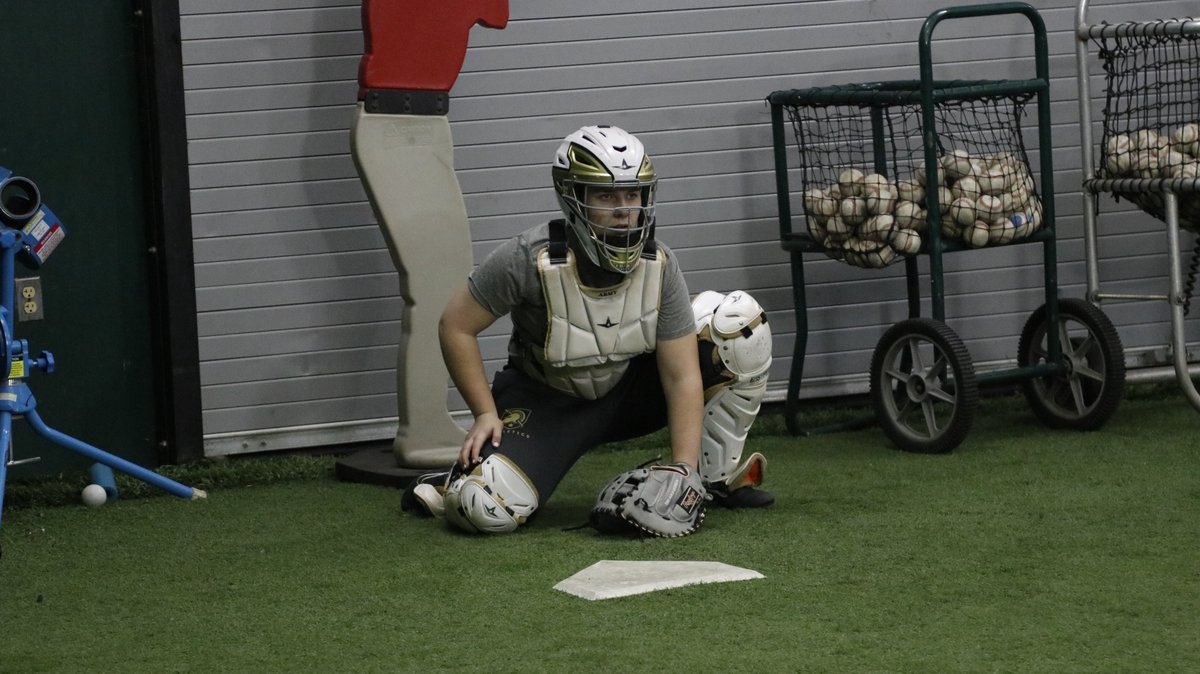 Army Softball tweet media