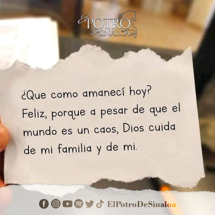 ElPotroDSinaloa's tweet photo. Si estás de acuerdo con eso, comparte y deja un comentario 💬🐎🔥 ¡Excelente día para todos y bendiciones! https://t.co/52FLYwZtkP