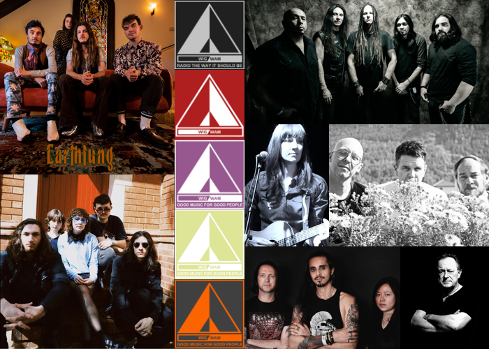 Radio-WIGWAM tweet media