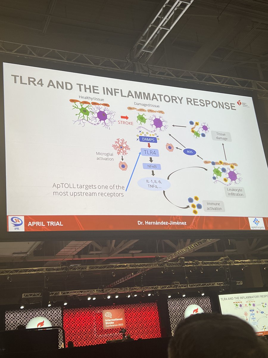 Results of the phase-2 trial of the  novel APTOLL neuroprotectant being presented at the #ISC23 plenary now showing promising data on safety and possible efficacy.