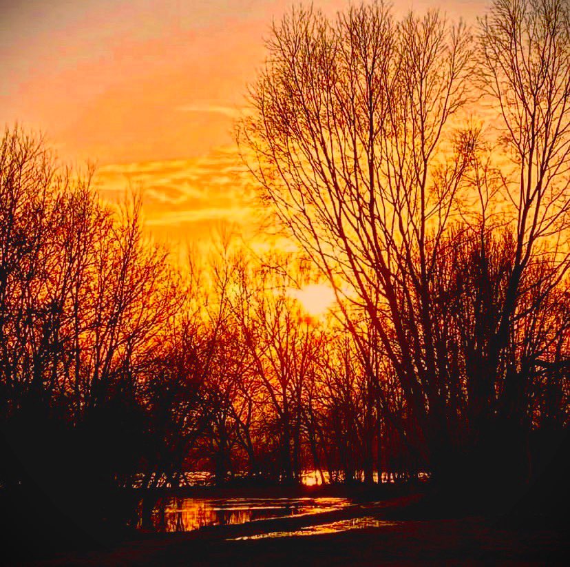 Fiery 🔥☀️

#Sky #Sunset #SunsetSky #Fiery #fierysky #Evening #Tree #Silhouette #BareTrees #Winter #TranquilScene #Tranquility #Idyllic #Outdoors #ScenicsNature #Nature #Cloud #Water #waterreflection #reflection #shimmer