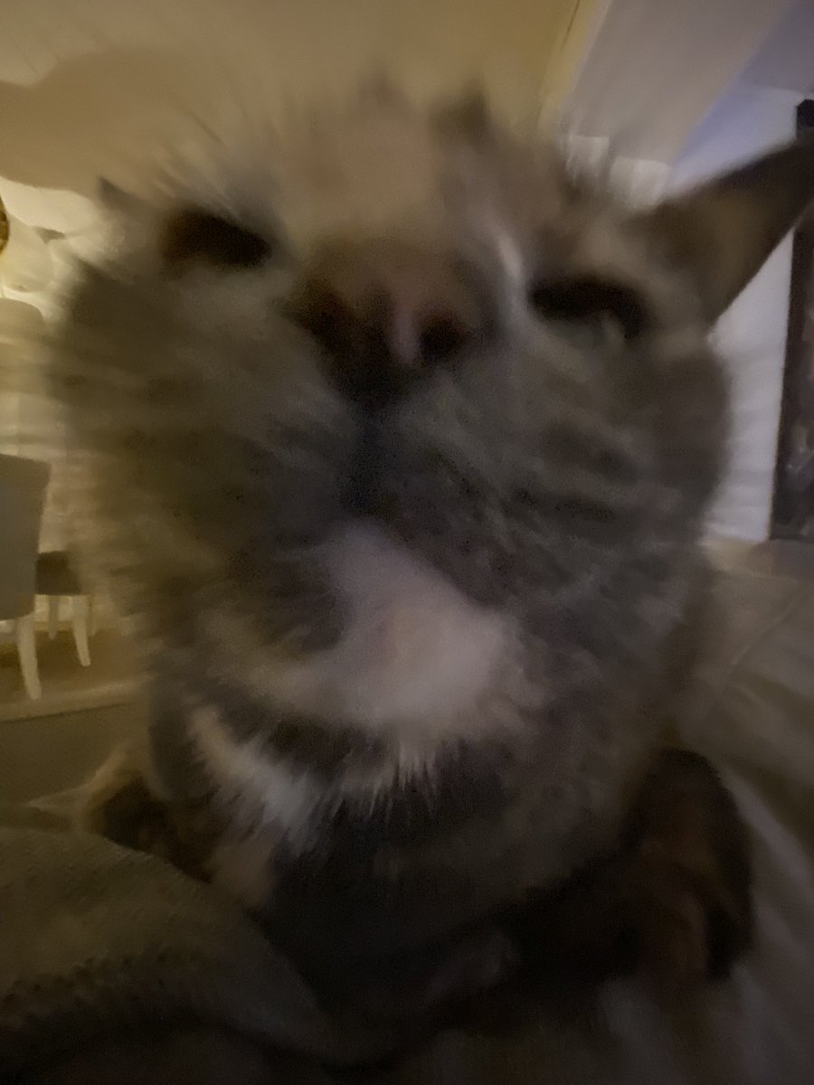 julia (@jiwoocaffe) on Twitter photo 