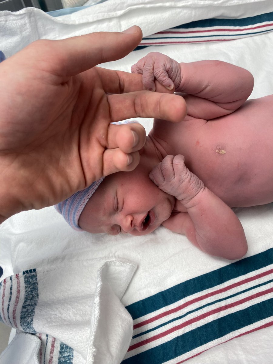 Charlie Robots tweet media