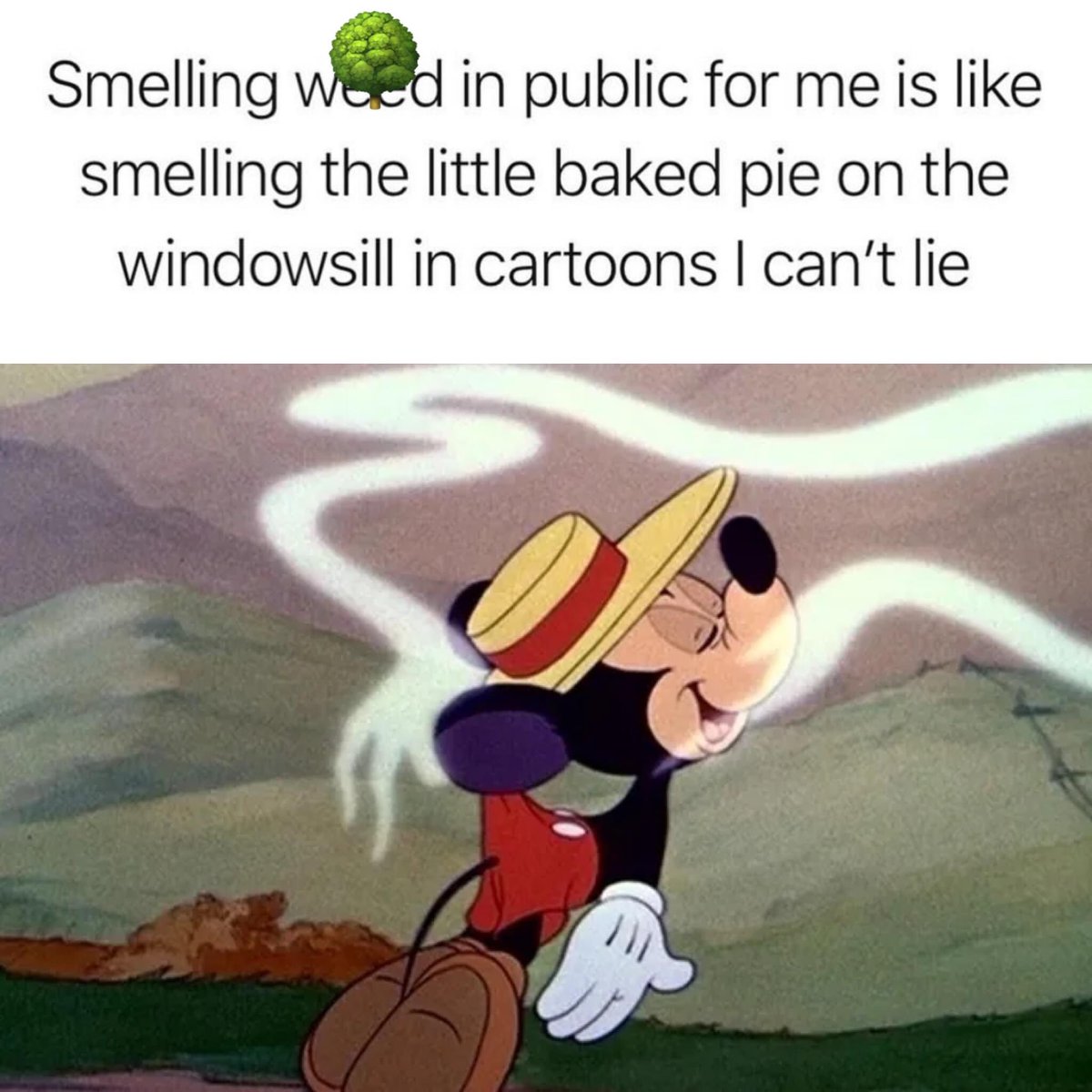 BecauseWe420's tweet photo. https://t.co/bTdkbrixyl