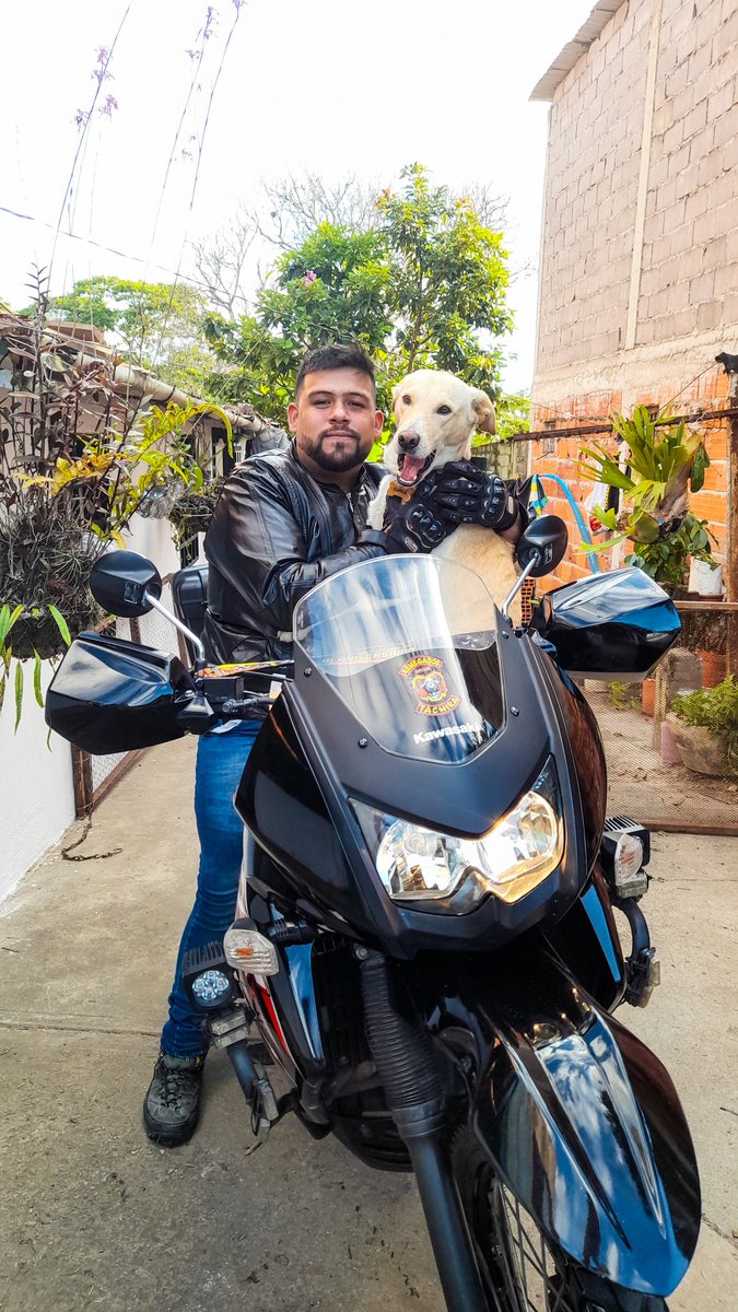 La reacción de mi perrito cuando llego del trabajo, no tiene precio 🥰