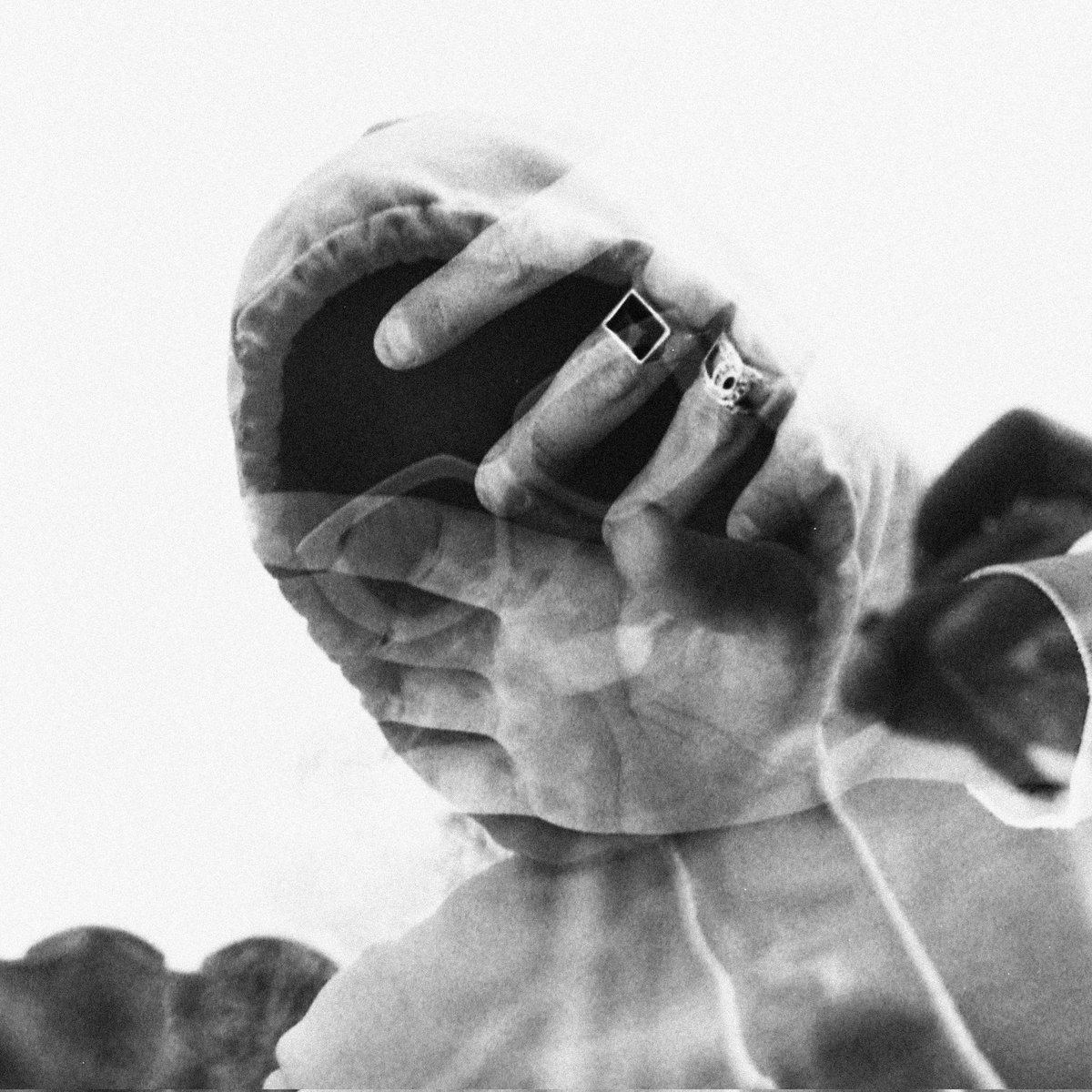 elecesar tweet media