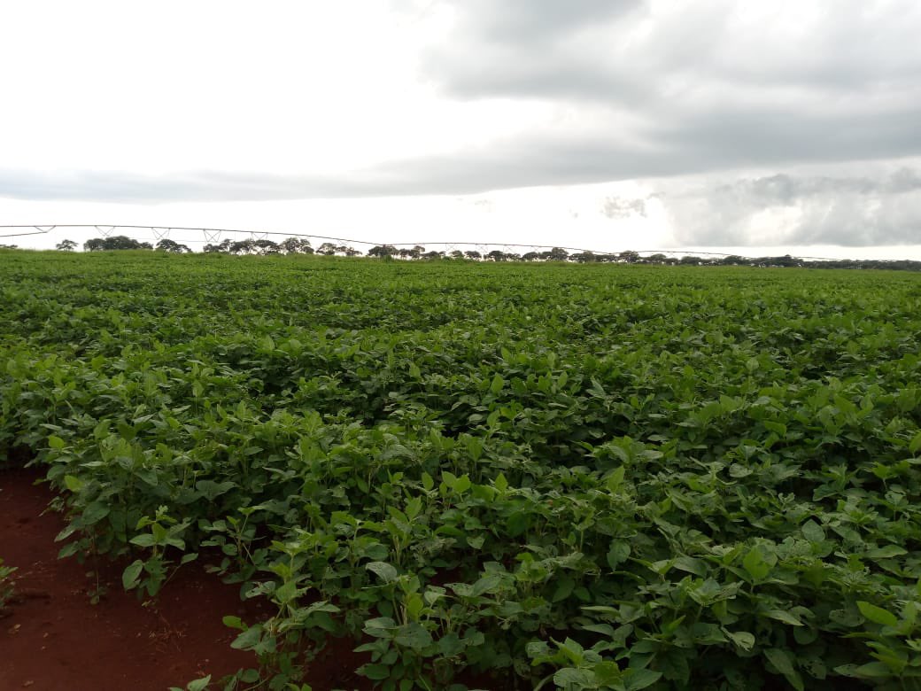 Ndakaripa Hungwe🌻 tweet media