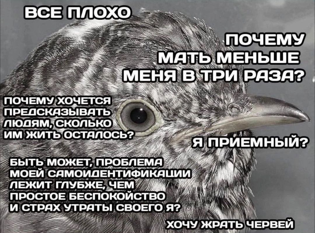 memesmymemes's tweet image. Порвало