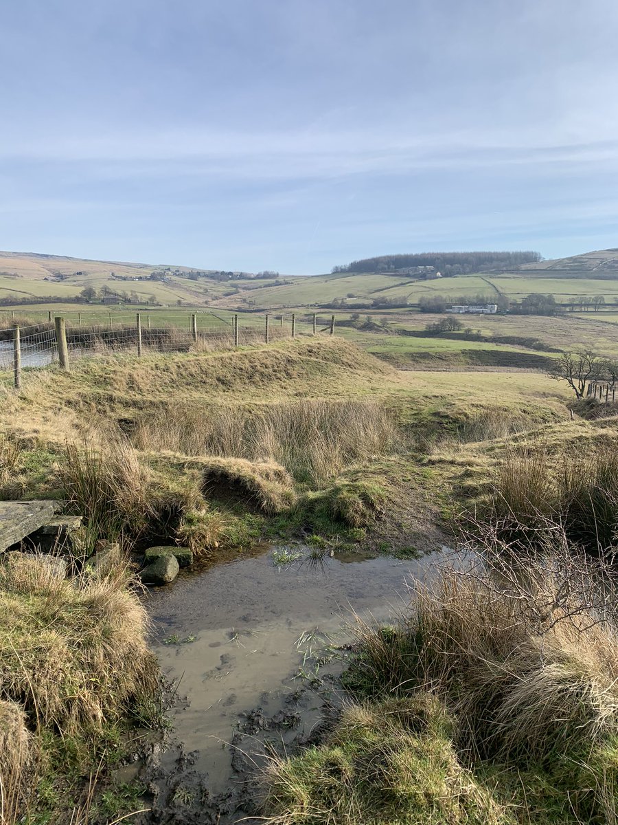 Zircon had an amazing time today at castleshaw.  Following the stream to find the source as part of their river topic xx we all just sat and took a moment to admire the view. Children were memorised.