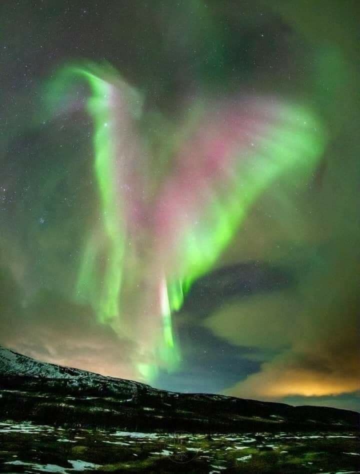 SunSohan's tweet image. "Quand le Fils de l'homme #viendra dans sa gloire, et dans celle du Père et des saints anges." 

- Luc 9:26 

"Le Fils de l’homme va #venir avec ses anges dans la gloire de son Père."

-  Matthieu 9:27

"Et quand #vient ton Seigneur, ainsi que les Anges..."

- [Coran, 89:23]